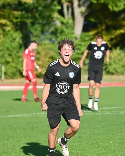 FC Serbia Nürnberg – 1. FC Heilsbronn, Foto 6